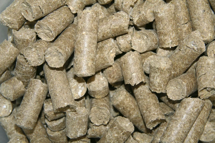 KERBL Delizia Smakołyki Malina 1kg
