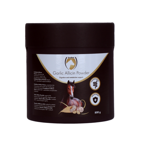 Proszek czosnkowy allicin 800 g