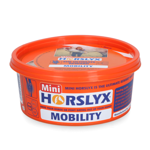 Mini Mobilność