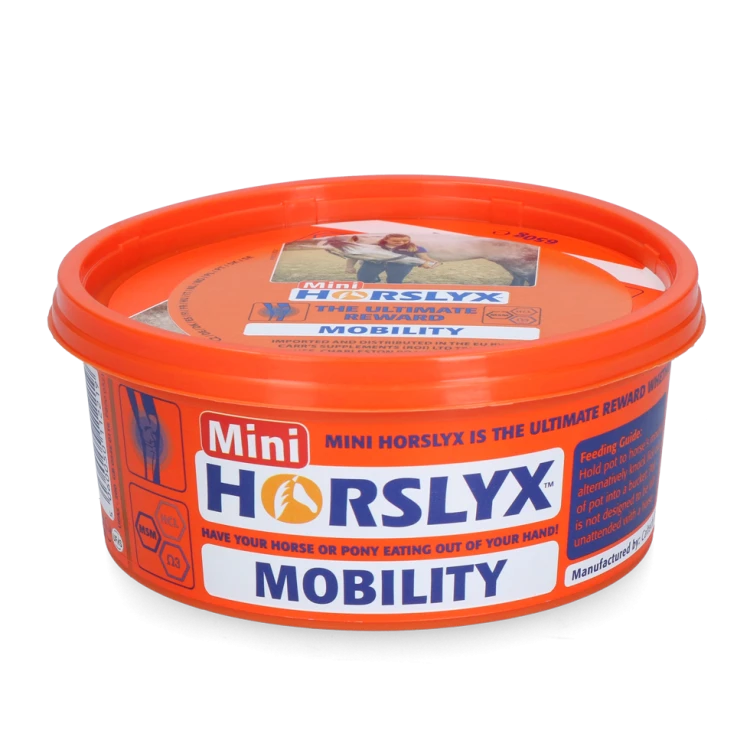 Mini Mobilność