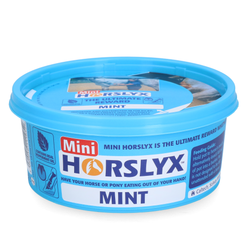 Mini Mięta