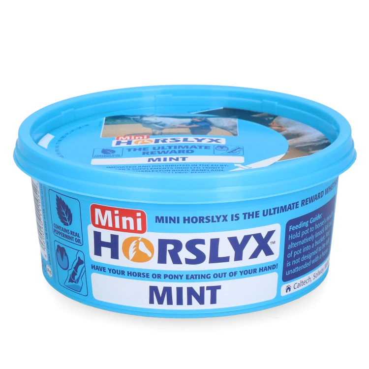 Mini Mięta