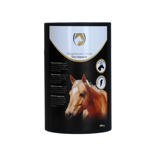 Magnesium Citrate 500 g