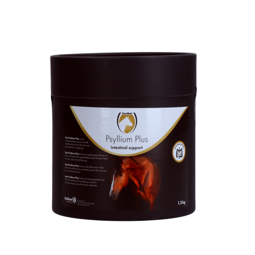 Psyllium Plus 1,2 kg