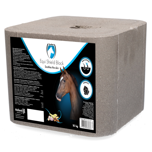 Shield Block 10 kg