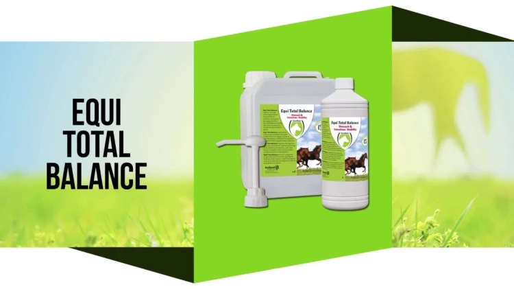 Total Balance 1 l