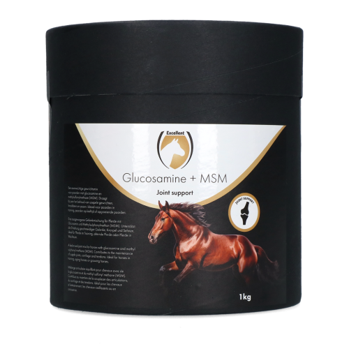 Glukozamina + MSM 1 kg