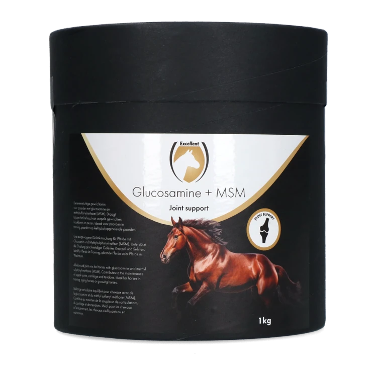 Glukozamina + MSM 1 kg