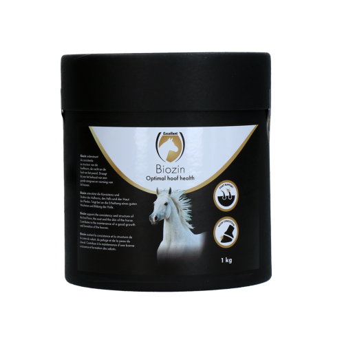 Biozin 1 kg