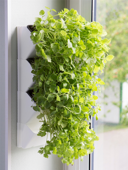 AQUAEL Versa Garden Herbs