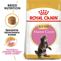 ROYAL CANIN Maine Coon Kitten 10kg