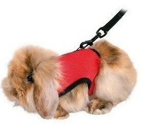 Trixie Miękkie Szelki Ze Smyczą